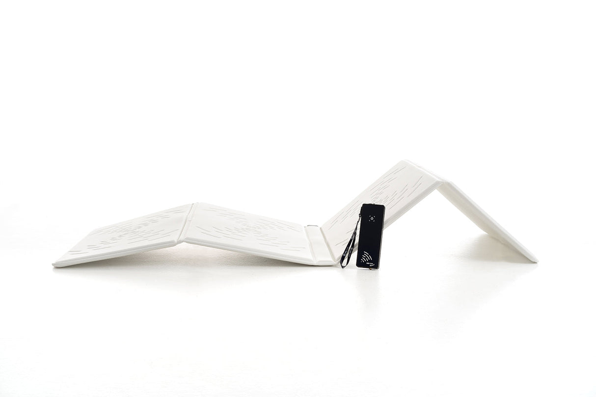 OMI PEMF Beyond Full Body Therapy Mat