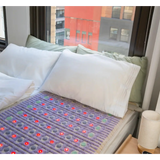 Healthy Line TAJ Bed Series PEMF Far Infrared Heating Mats