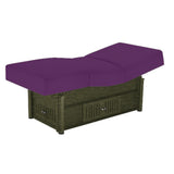 Living Earth Crafts Kensington Hydraulic Treatment Table Pro Salon