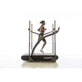 LightSpeed Lift LS-300 Body Weight Support System – 0-40 lb
