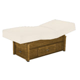 Living Earth Crafts Pro Salon Kensington Hydraulic Treatment Table
