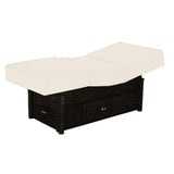 Living Earth Crafts Pro Salon Kensington Hydraulic Treatment Table